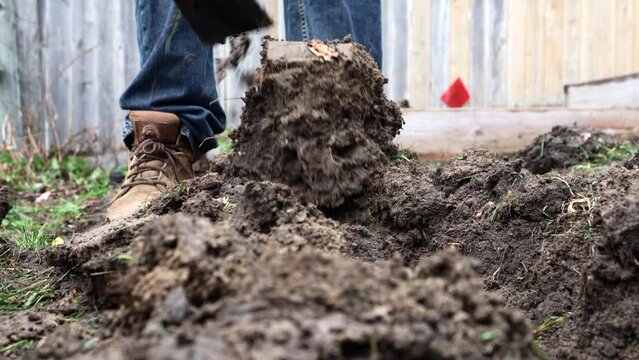 Person With Pickaxe Mattock Trenching Soil In A Garden Yard. Close-up