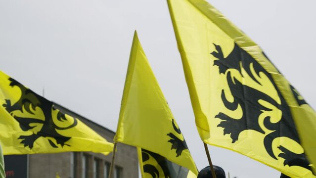 Several Flags of Flanders, called the Vlaamse Leeuw ("Flemish Lion") or leeuwenvlag ("Lion flag"). Symbol of the Flemish Community and Flemish Region in Belgium.