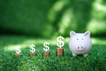 saving money coins and tree growing on stacks with piggy bank on nature background. Saving,...