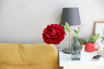 Red peony in a glass bottle on the bedside table near the sofa