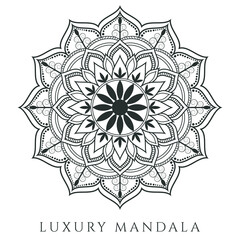 Vector mandala art design simple mandala design floral mandala art mandala background