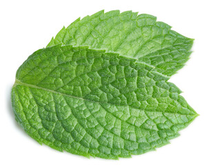 Fototapeta na wymiar Mint pepper leaf isolated on white