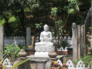 Obraz premium buddha statue in the temple
