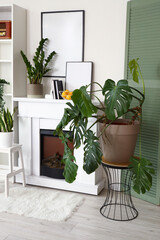 Interior of living room with fireplace, shelving unit and houseplants