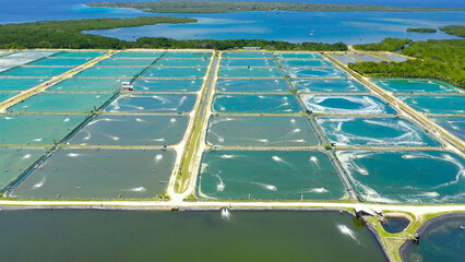 Aerial view of the prawn farm with aerator pump. Bohol, Philippines. Ponds for shrimp farming.