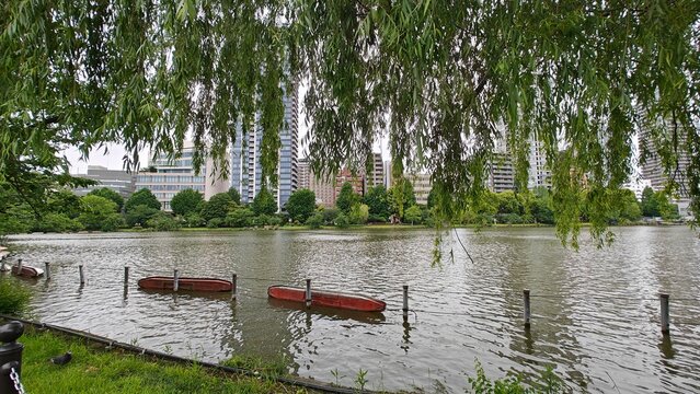 Serene and calmness around Shinobazuno pond at Uena, Tokyo