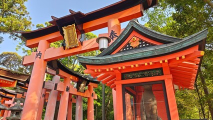 Fushimi Inari Shrine, Kyoto, Japan