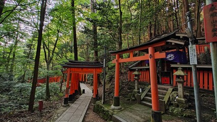 Fototapeta na wymiar Fushimi Inari Shrine, Kyoto , Japan