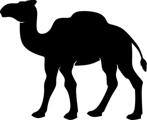 Camel icon vector illustration. Silhouette camel icon for livestock, food, animal and eid al adha event. Graphic resource for qurban design in islam and muslim culture