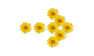 yellow flower alphabet