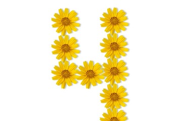 yellow flowers isolated on white