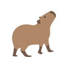 capybara single 24 cute on a white background, vector illustration.