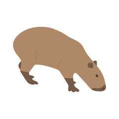 capybara single 22 cute on a white background, vector illustration.