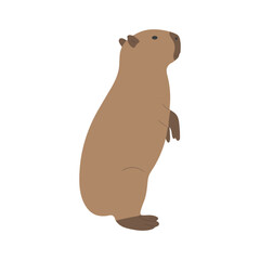 capybara single 28 cute on a white background, vector illustration.