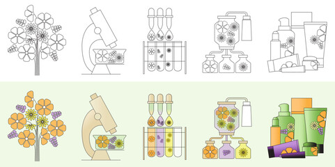 Fototapeta premium The process of making natural cosmetics. Make cosmetics from flowers. Skincare with natural cosmetics.