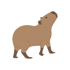capybara single 24 PNG