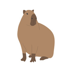 capybara single 27 PNG