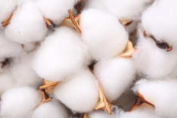 White cotton flowers as background