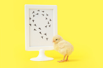 Frame with bird prints and cute little chick on yellow background