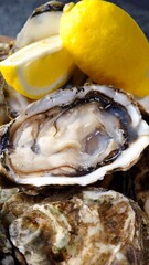 Ocean's Delicacy: Captivating Close-Up of Fresh Raw Oysters in Shell with Zesty Lemon, in 4K Resolution