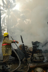 Firefighters try to put out the fire raging in the trees, farms and palms
