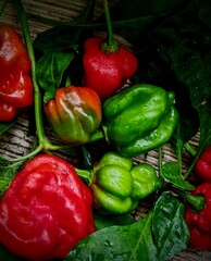 red and green peppers on a chopping board