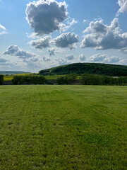 A wonderful open-air park. sunny weather and light clouds in the sky create an amazing atmosphere. Beautiful sunny summer day