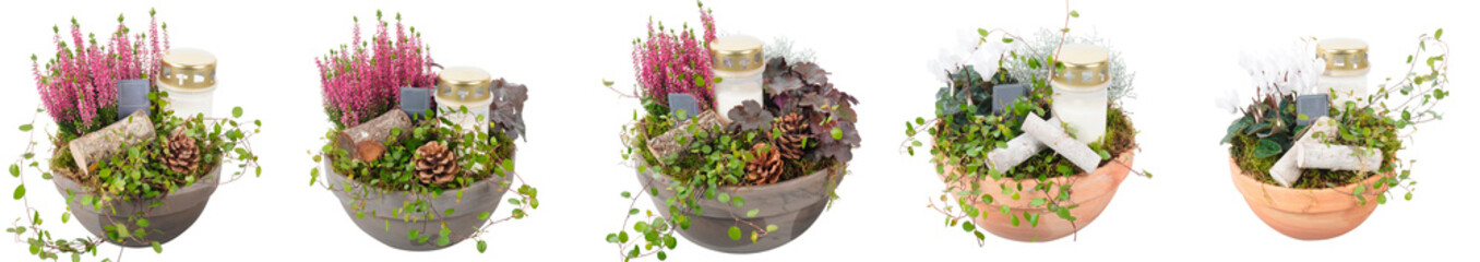 Set of Plants Jar,isolated on transparent background 3d render