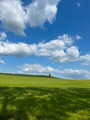 Fototapeta premium A wonderful open-air park. sunny weather and light clouds in the sky create an amazing atmosphere. Beautiful sunny summer day