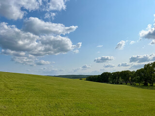 A wonderful open-air park. sunny weather and light clouds in the sky create an amazing atmosphere. Beautiful sunny summer day