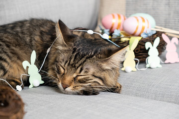 The Easter cat sleeps among a garland of rabbits and a basket of painted eggs