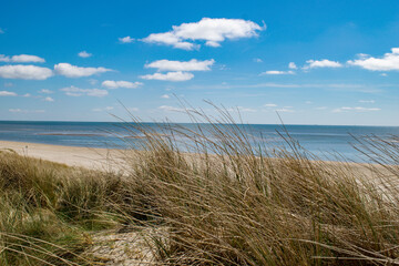 Blåvand beach with blue sky