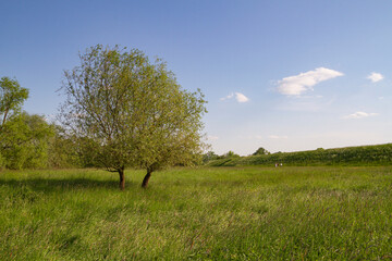 Typical Polish Landscape | Typowy Polski Krajobraz (Wały Uszwicy)