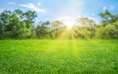 natural grass field background with blurred bokeh and sun rays - 614116082