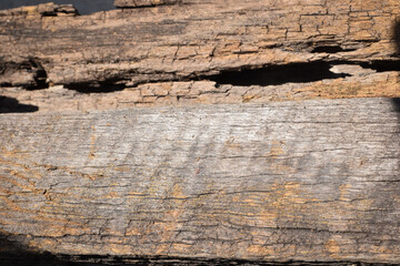 rotten old wood as background