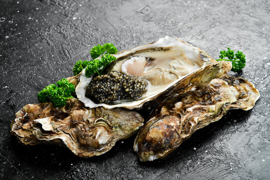 Oysters with black caviar, lemon and parsley, on ice. On a stone background. Top view. Macro photo.