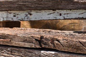 rotten old wood as background