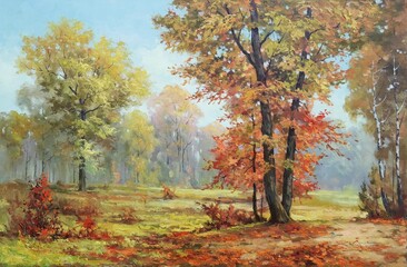 autumn trees in the park