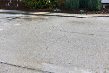 Obraz premium glezăShadows on the asphalt. Cracks in the asphalt. The shadow of the tree on the asphalt. Siulet.