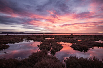 Lever du soleil à Bages dans l'Aude en Occitanie
