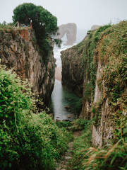 Canyon's embrace merges with the vast sea: A breathtaking journey where a majestic canyon...