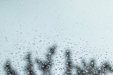 rain drops on window