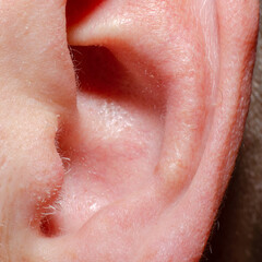 This macro photograph highlights the intricate details of the human ear, including the skin texture...