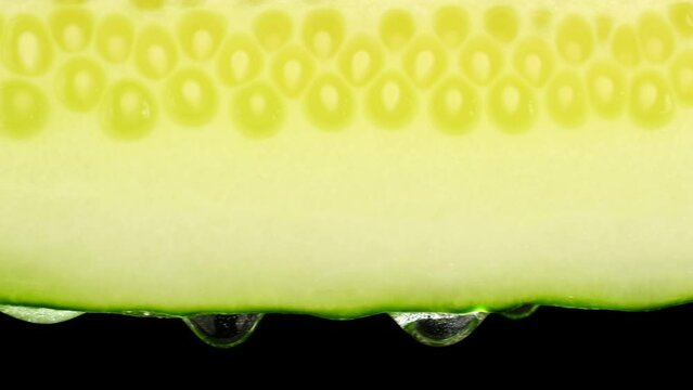 Fresh cucumber with water drops, isolated on black background. Slider shot