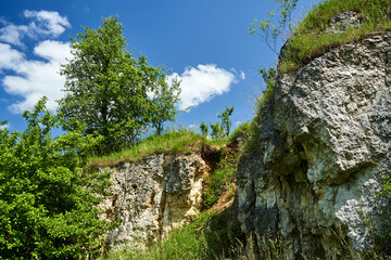 Fototapeta na wymiar Limestone rocks of an old quarry overgrown with trees and bushes