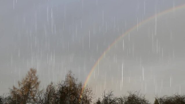 Rainy wiew with grey sky and colorful rainbow and horizon with trees - with an animation of falling raindrops. The sky with colorful rainbow and autumn trees on rainy and sunny changeable weather.