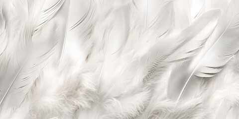 Close up white feathers background Created with generative Ai technology