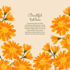 Background with blooming calendula and place for text. orange flowers on the background. herbal medicine. - obrazy, fototapety, plakaty
