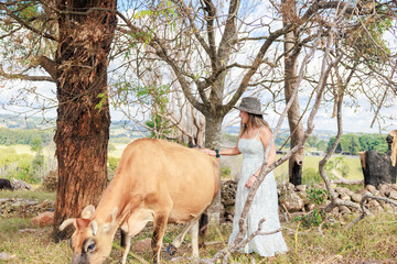 オーストラリアの牧場で牛に触れる南米出身の女性
