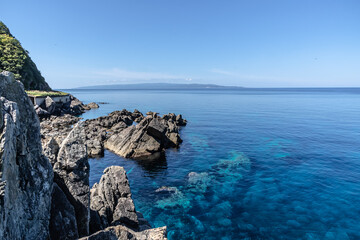 大田区大成の海